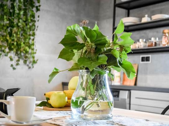 Atlas Chmur Apartament Biały Dunajec Εξωτερικό φωτογραφία